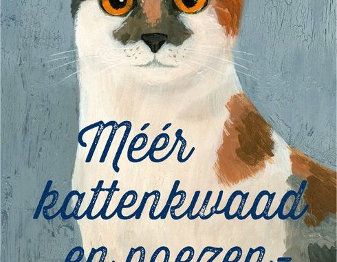 meerkattenkwaad